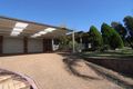 Property photo of 24 Cassidy Avenue Muswellbrook NSW 2333