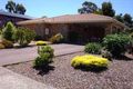 Property photo of 30 Arden Avenue Devonport TAS 7310