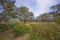 Property photo of 116 Harvey Street Anglesea VIC 3230