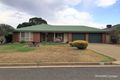 Property photo of 113 Katrina Circuit Corowa NSW 2646