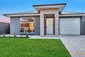 Property photo of 17 Hawker Avenue Plympton Park SA 5038