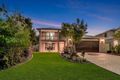 Property photo of 17 Caragh Crescent Oxenford QLD 4210