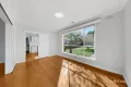 Property photo of 29 Thomasina Street Bentleigh East VIC 3165