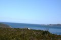 Property photo of 90 Native Dog Beach Road Bremer Bay WA 6338
