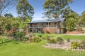 Property photo of 235 Blueberry Drive Black Mountain QLD 4563