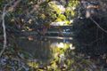 Property photo of 15/121-127 Riverview Road Earlwood NSW 2206