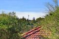 Property photo of 19 Dellwood Avenue Earlwood NSW 2206