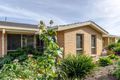 Property photo of 11 Darrell Avenue Wattle Park SA 5066