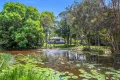 Property photo of 3 Curlew Crescent Cooroy QLD 4563