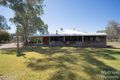 Property photo of 137 Greatorex Road Ilparpa NT 0873