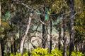 Property photo of 2B Kanangra Street Pambula Beach NSW 2549