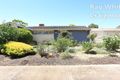 Property photo of 4 Illalong Crescent Munno Para SA 5115