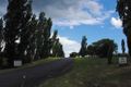 Property photo of 42 Borrowpit Road Meadow Flat NSW 2795