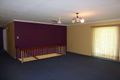 Property photo of 14 Thornton Street Raceview QLD 4305