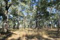Property photo of 2 Carrs Road Wilberforce NSW 2756