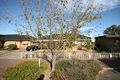 Property photo of 75 Bradley Grove Mitchell Park SA 5043