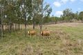 Property photo of 856 Esk Crows Nest Road Biarra QLD 4313