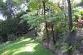 Property photo of 78 Cadagi Drive Kuranda QLD 4881
