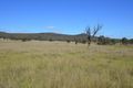 Property photo of 460 Ridge Road Cooks Gap NSW 2850