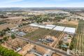Property photo of 18 Artesian Road Two Wells SA 5501