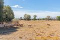 Property photo of 8L Cooreena Road Dubbo NSW 2830