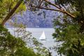 Property photo of 174 Riverview Road Avalon Beach NSW 2107