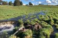 Property photo of 67 Warramunga Close Wamboin NSW 2620