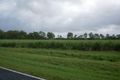 Property photo of 242 Mount Martin Loop Road Mirani QLD 4754