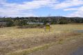 Property photo of 12 Colleen Crescent Primrose Sands TAS 7173