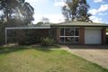 Property photo of 33 Merriwa Street Sunnybank Hills QLD 4109