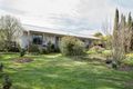 Property photo of 19 Macdonald Street Clunes VIC 3370