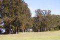 Property photo of 53 Osterley Avenue Orient Point NSW 2540