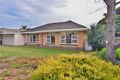 Property photo of 53 Mitchell Street Seaview Downs SA 5049