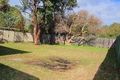 Property photo of 20 Sturt Street Killarney Vale NSW 2261
