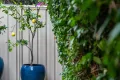 Property photo of 11A Byron Street Leederville WA 6007