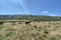 Property photo of 1133 Ropeley-Rockside Road Rockside QLD 4343