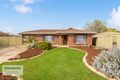 Property photo of 8 Carob Crescent Craigmore SA 5114