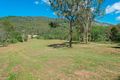 Property photo of 1369 Beaudesert-Beenleigh Road Cedar Creek QLD 4207
