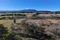 Property photo of 4651 Kings Highway Monga NSW 2622