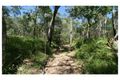 Property photo of 621 Creevey Drive Captain Creek QLD 4677