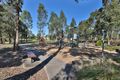 Property photo of 36 Bottlebrush Street Heathwood QLD 4110