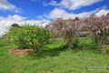 Property photo of 50 Holloways Lane Arding NSW 2358