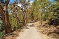 Property photo of 13 Armadale Road Rivervale WA 6103