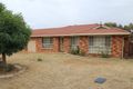Property photo of 11 Sheldon Crescent Orange NSW 2800