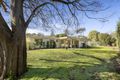 Property photo of 22 Ocean Road Blairgowrie VIC 3942
