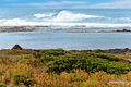 Property photo of 2/104 Ocean Drive Port Fairy VIC 3284