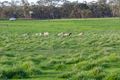 Property photo of LOT 1 Moore Road Shelbourne VIC 3515