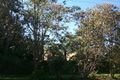 Property photo of 3 Koala Court Witta QLD 4552