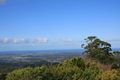 Property photo of 29 Witherby Crescent Tamborine Mountain QLD 4272