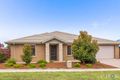 Property photo of 8 Doris Turner Street Forde ACT 2914